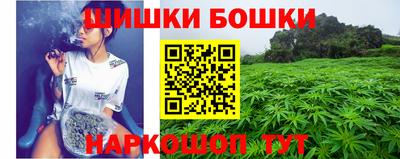 крисы Балаково