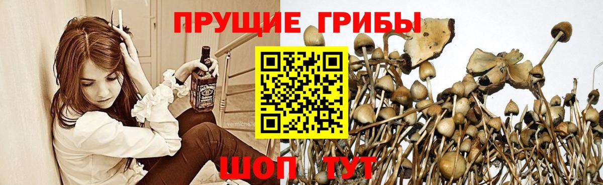 Галлюциногенные грибы ЛСД Дмитров