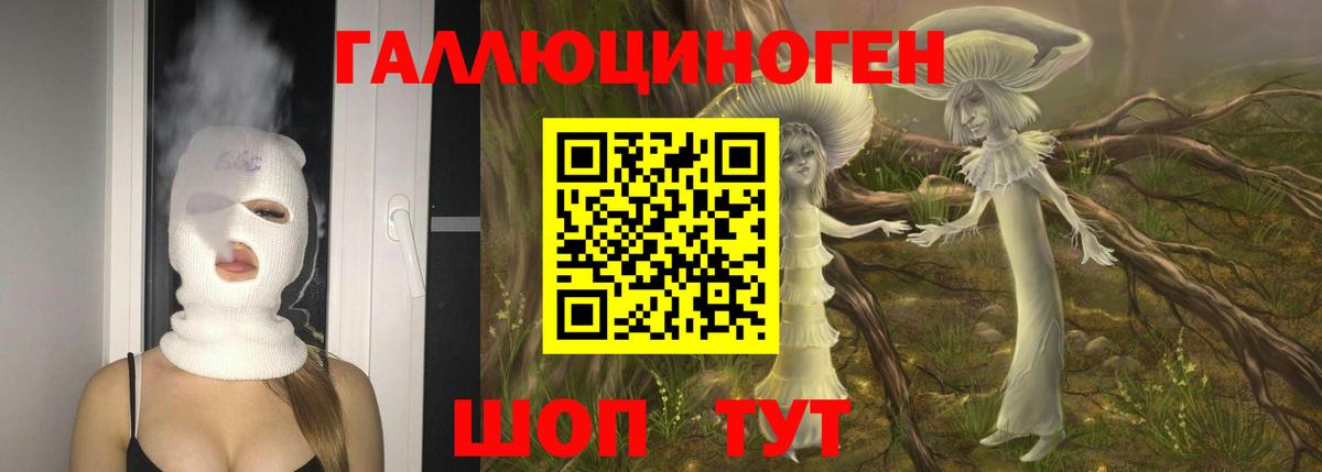 Дмитров  Псилоцибиновые грибы MAGIC MUSHROOMS  Вход с VPN 
